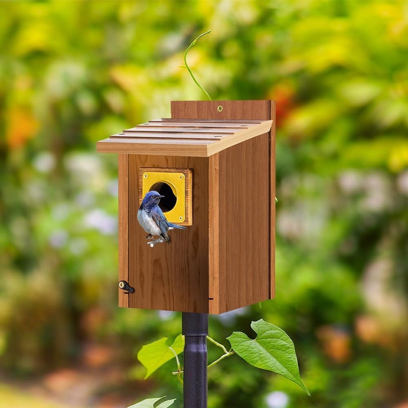 CEDAR ALPHA Bird House Guard Hole Plate - Larger Stainless Steel Shape with Rain Buffle - Entrance Predator Guards Metal Plate - 38 mm 1.5" Hole Sizes - Square Rings Entry Hole Protector (Golden 6 Pieces) - Image 5